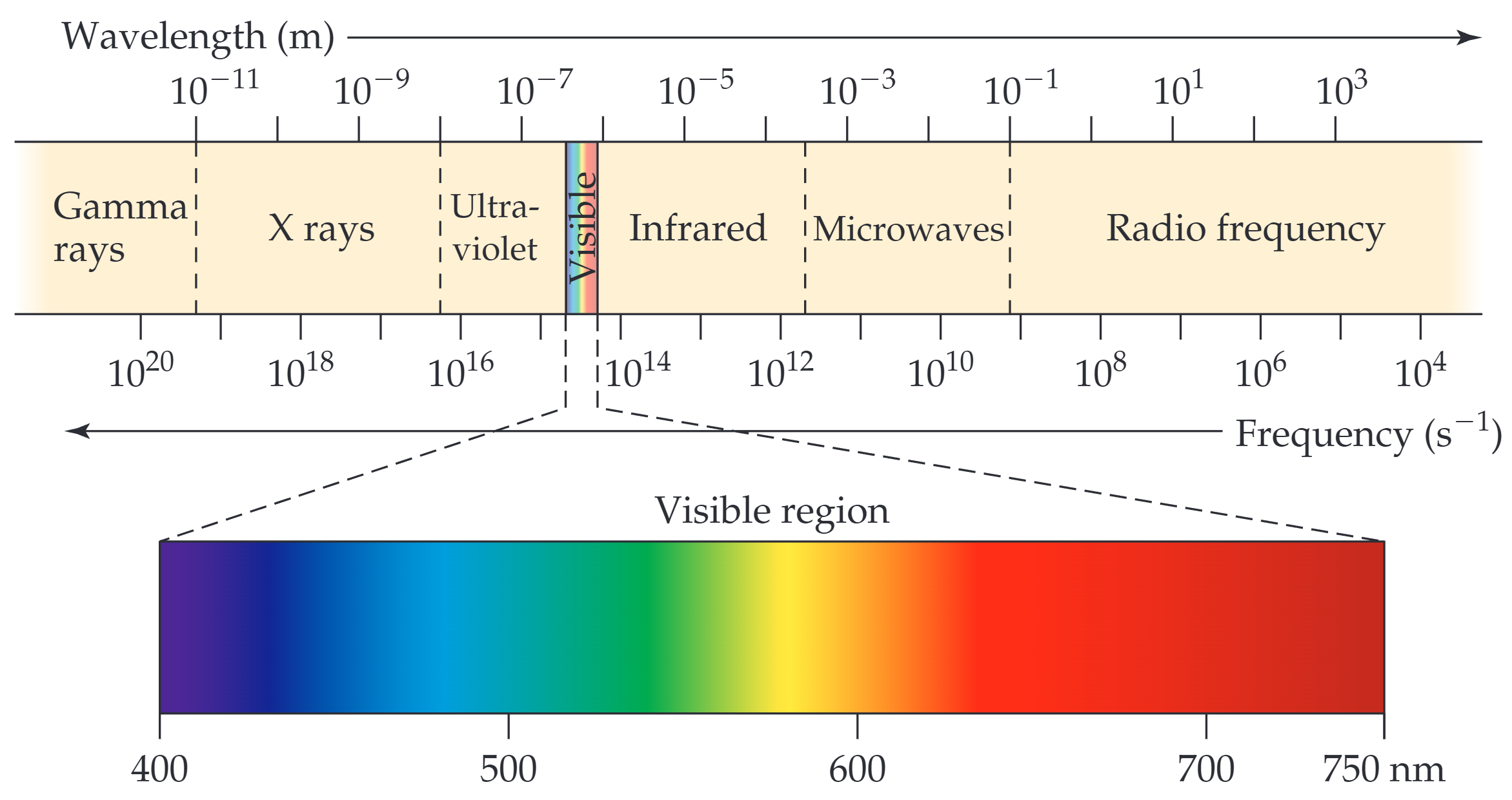 The electromagnetic spectrum.